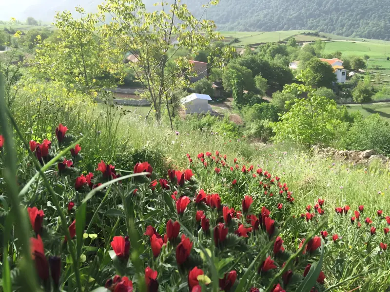 روستای لمرد - تصویر 1