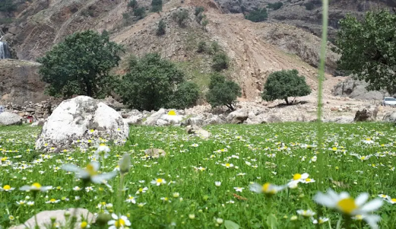 آبشار شیمبار - تصویر 4