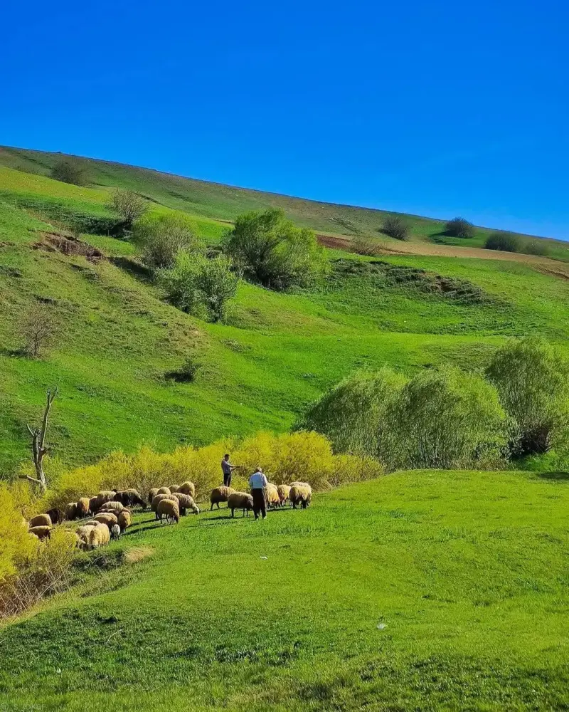 دهستان ترگور - تصویر 2