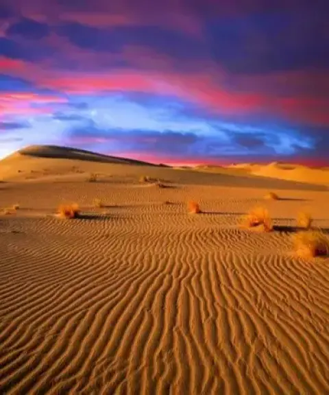 کویر ریگان، کرمان