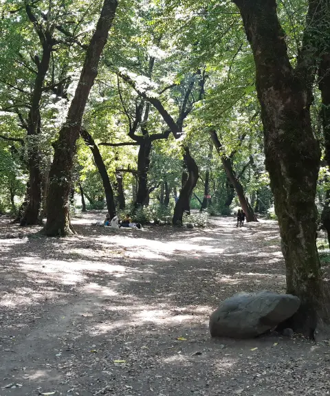 پارک جنگلی خرما، گیلان