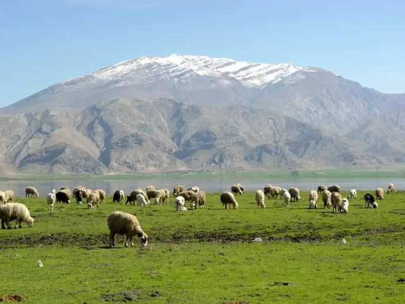 تالاب میانگران - تصویر 2