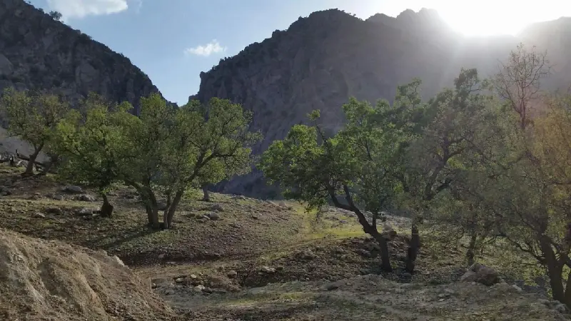 دره شاخ گاومیشی - تصویر 1