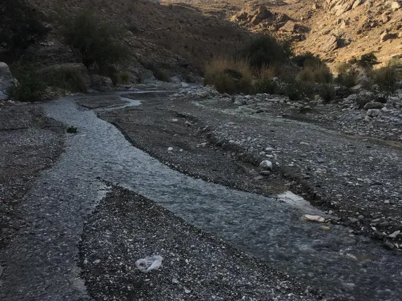 تنگ موردان - تصویر 3
