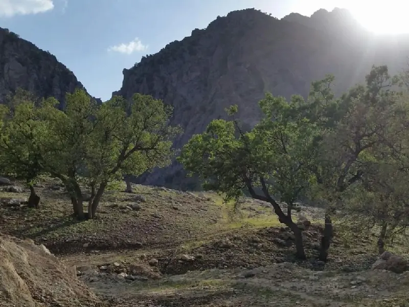 دره شاخ گاومیشی - تصویر 1