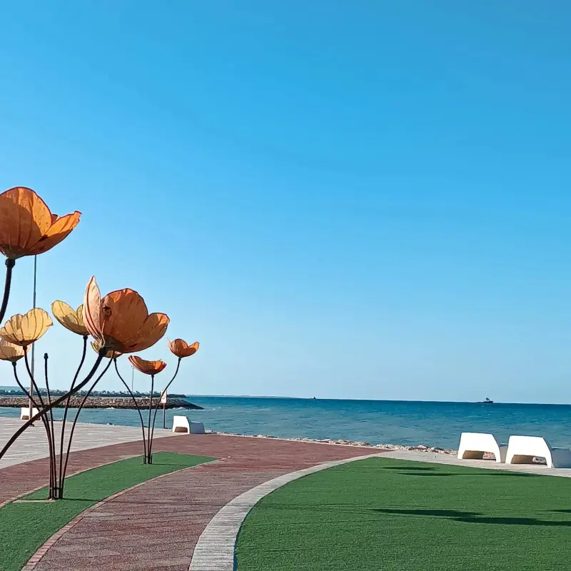 دهکده گردشگری نخل تقی - تصویر 2