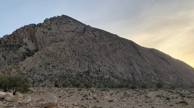 جنگل چاتیز - تصویر 6