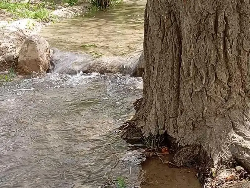روستای باباکلا - تصویر 4