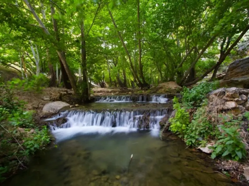 تنگ بوان - تصویر 1