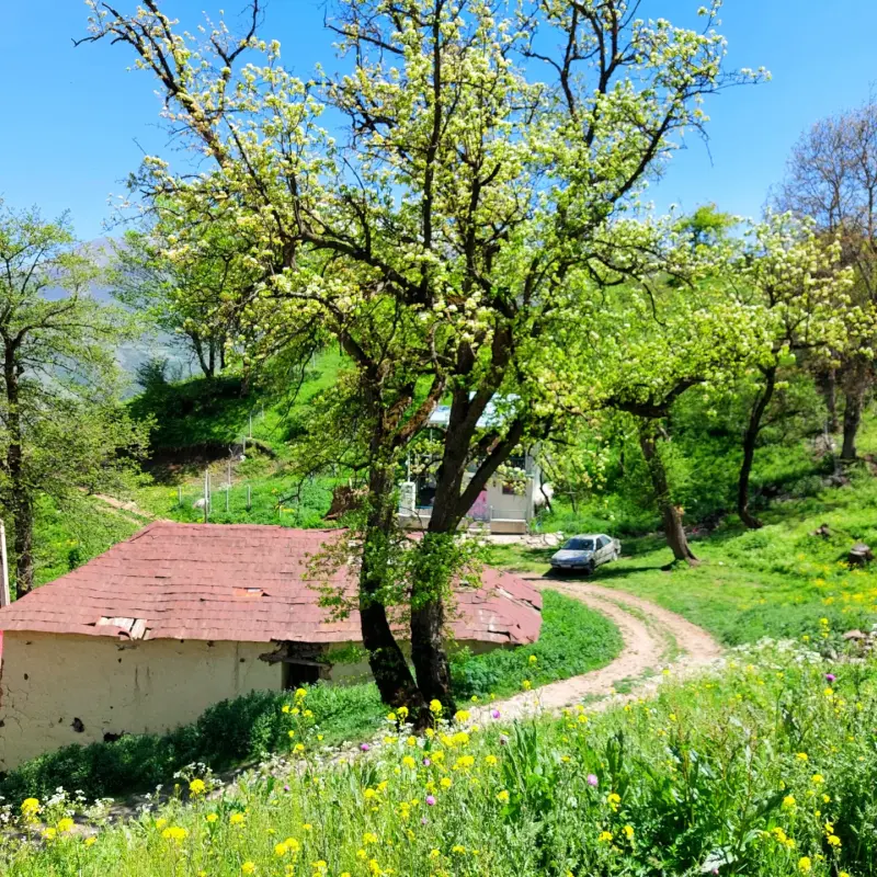 روستای اوریم - تصویر 4