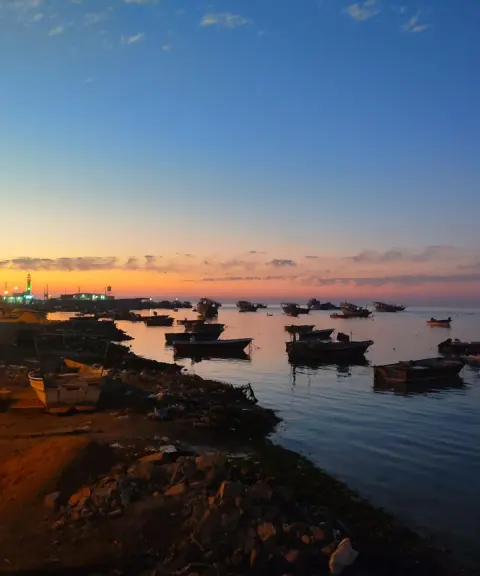جزیره عباسک، بوشهر