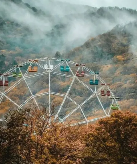 پارک جنگلی ناهار‌خوران، گلستان