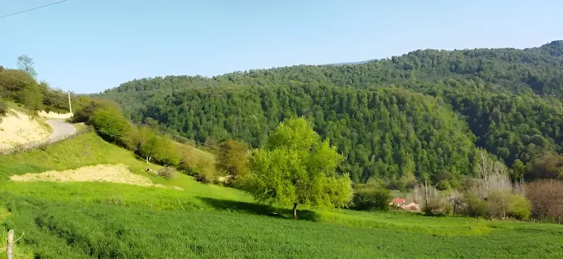 روستای بجدم - تصویر 4
