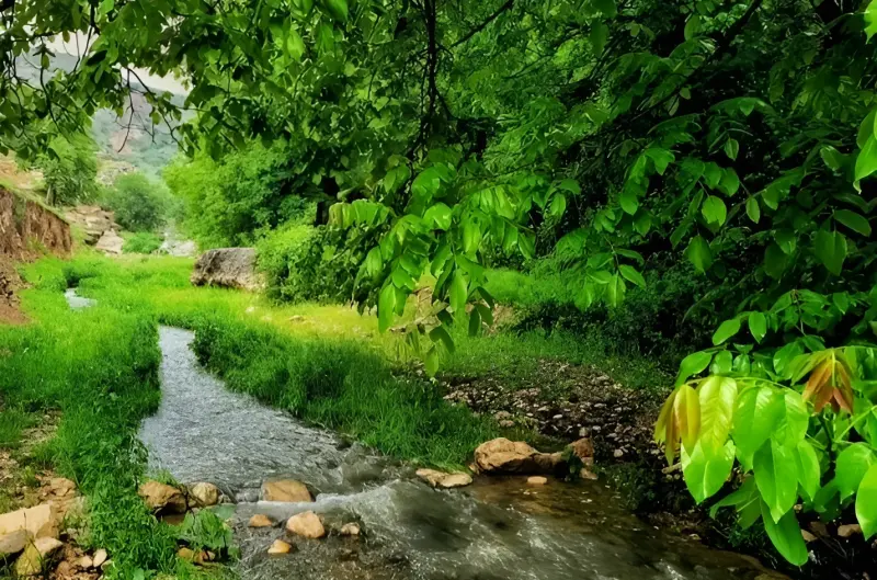 روستای نرگسلو علیا - تصویر 4