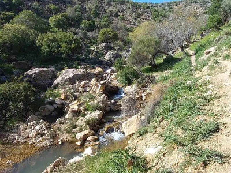تنگ خانی - تصویر 4