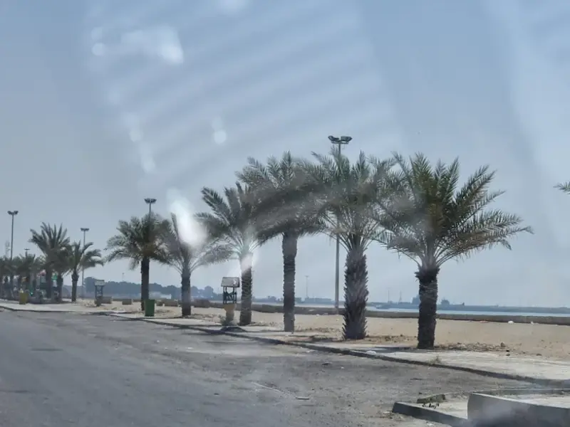 بندر چارک - تصویر 3