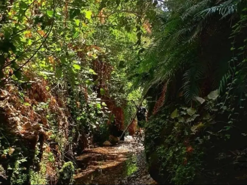دره پل‌پرزین