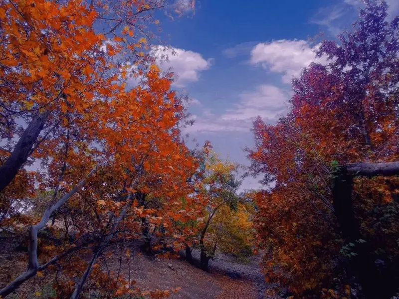 روستای کلهو - تصویر 2
