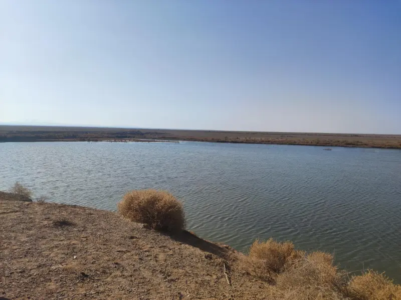 تالاب مژن‌ آباد - تصویر 1