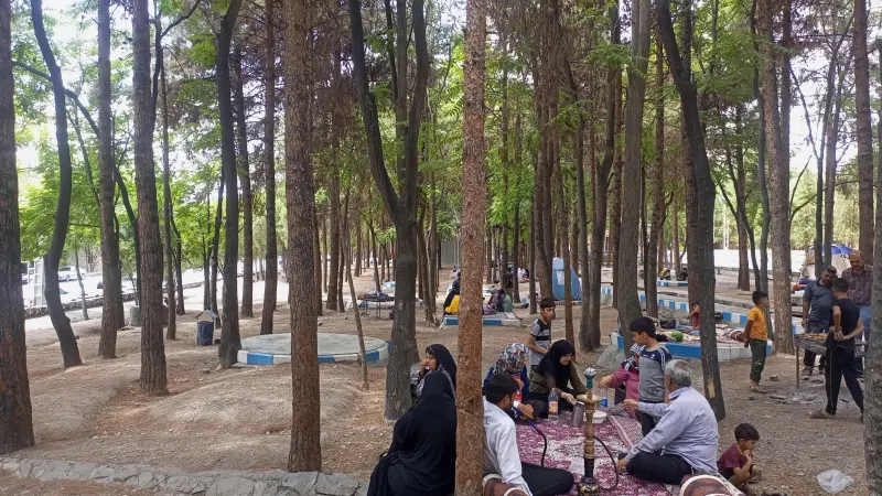 جنگل پردیسان قائم - تصویر 3
