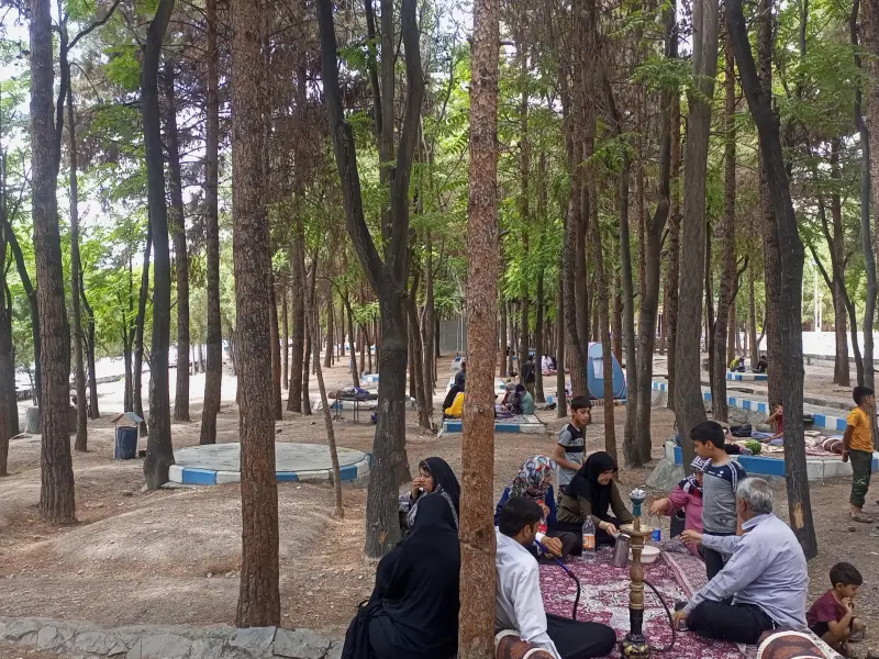 جنگل پردیسان قائم - تصویر 3