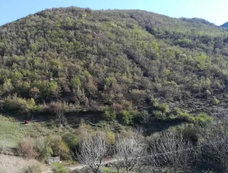 روستای الستان - تصویر 4