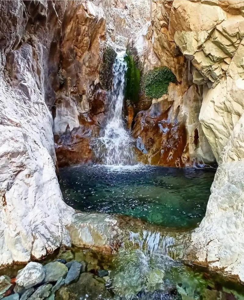 روستای دلفارد - تصویر 1
