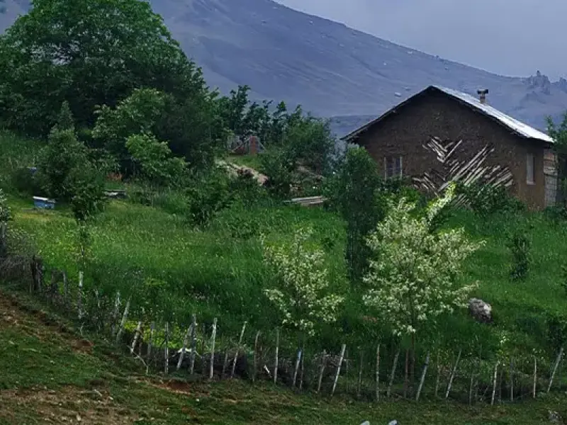 ییلاق ایزکی - تصویر 1
