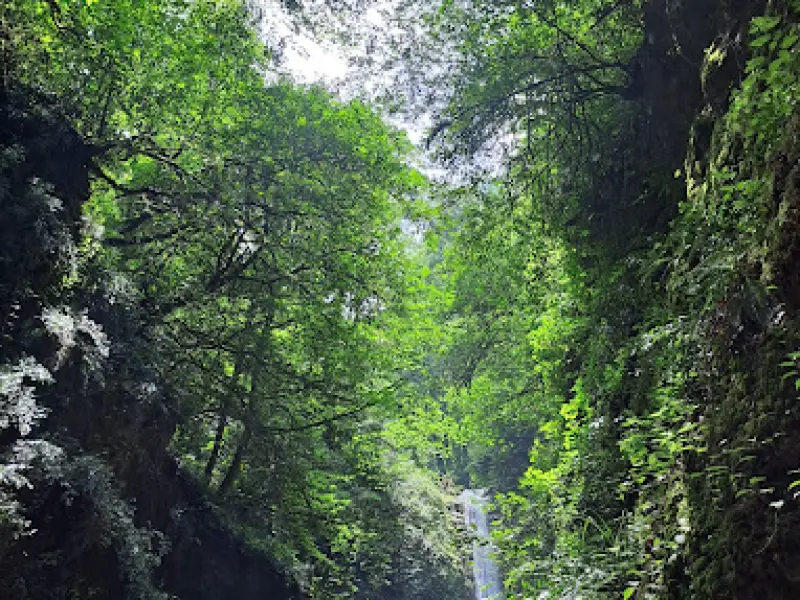 آبشار دارنو - تصویر 1