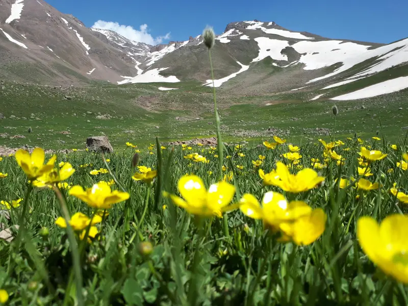 قله ککیلی داغ - تصویر 12