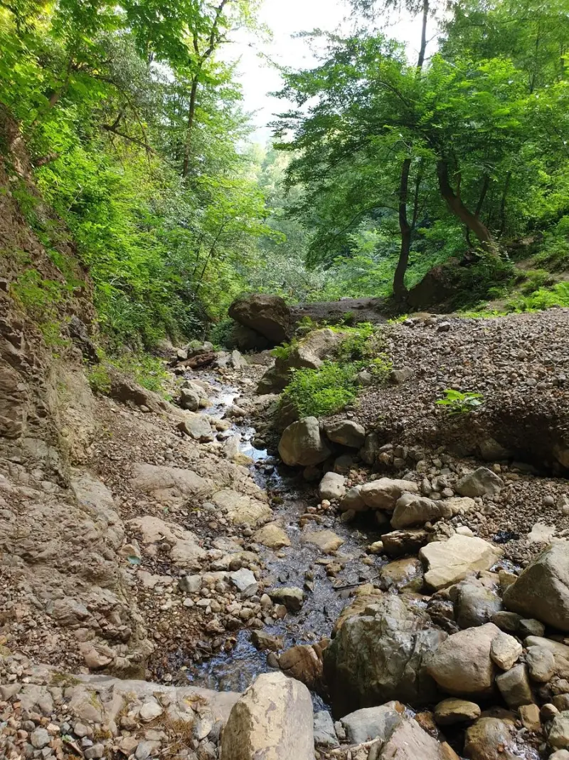 روستای بنون - تصویر 4