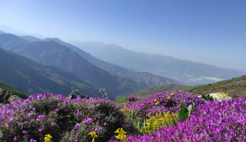 کوه خشچال - تصویر 2