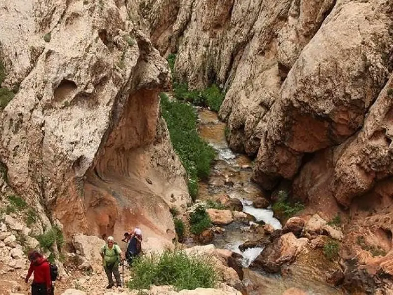 تنگه میشینه مرگ - تصویر 5