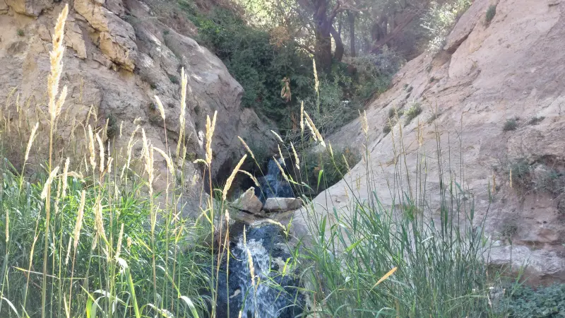 آبشار ولیان - تصویر 6