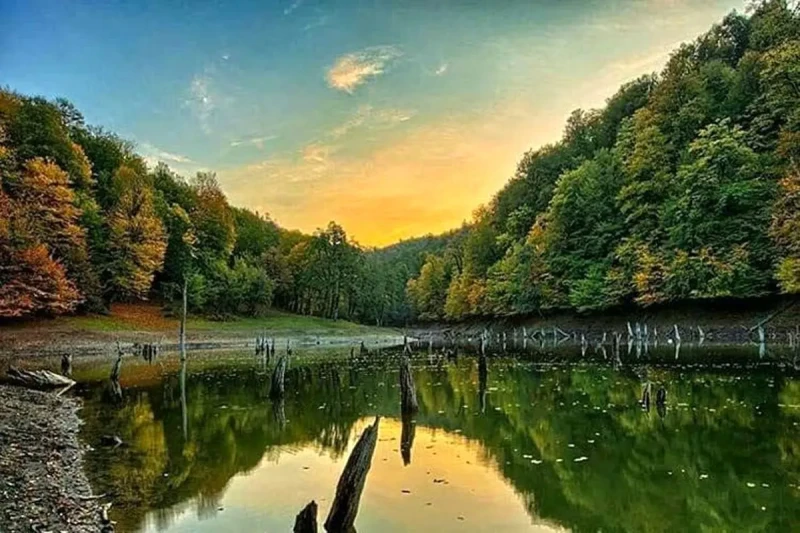 _