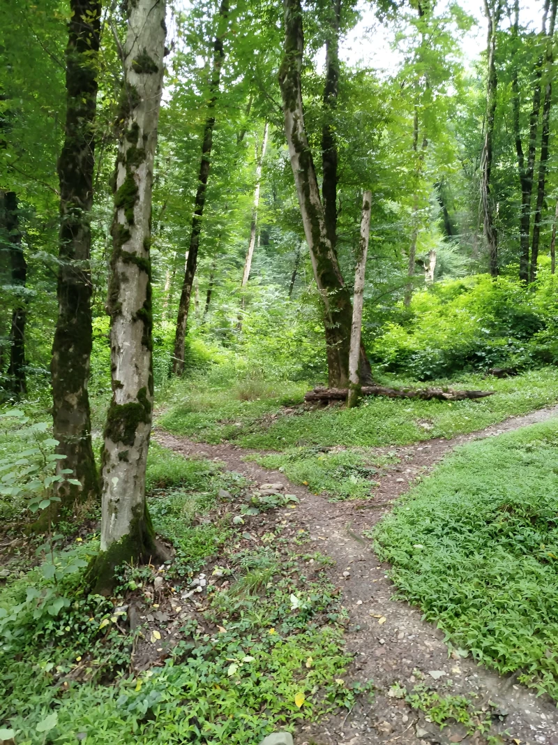 _