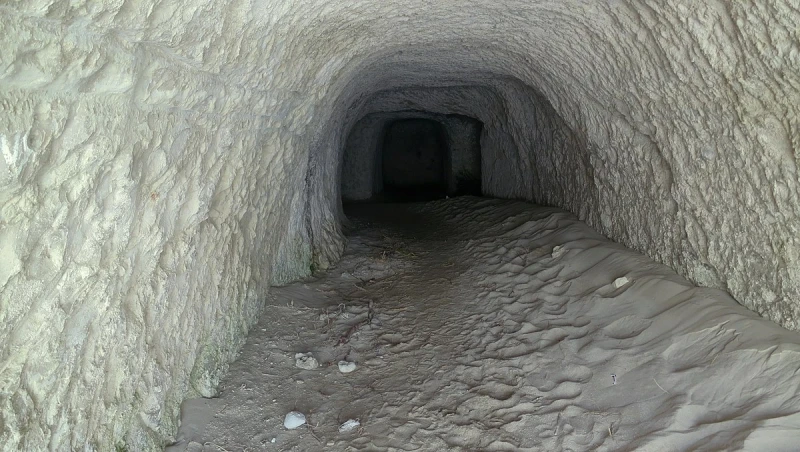 _