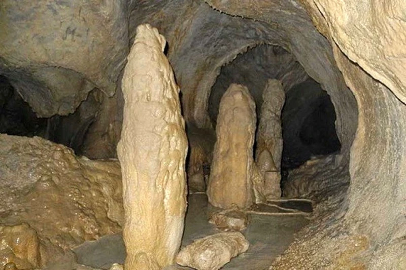 _