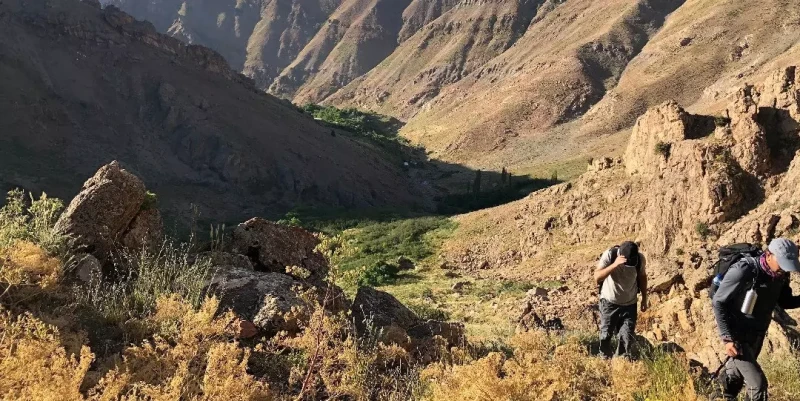 _