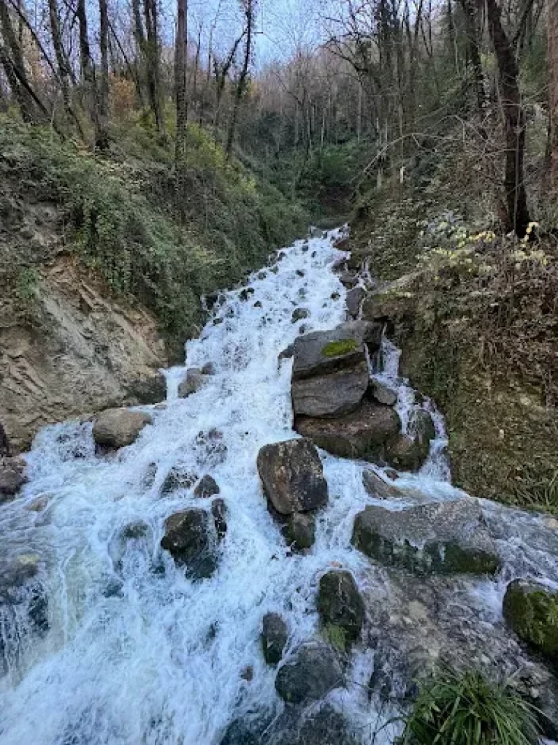 _