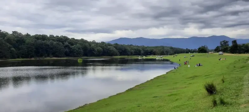 _