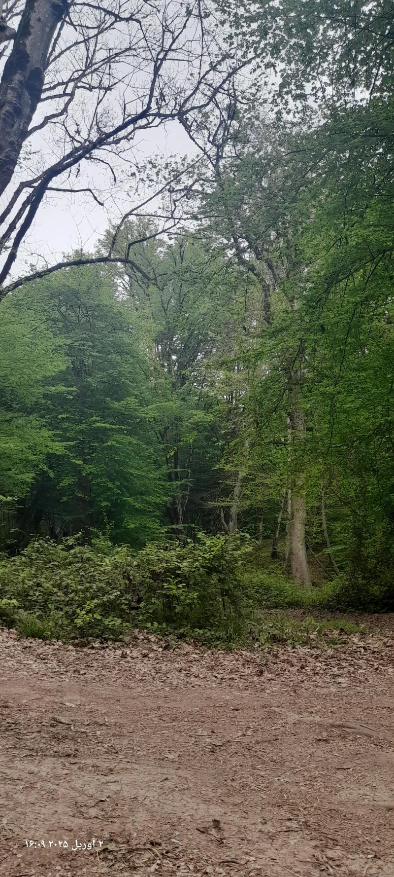 _
