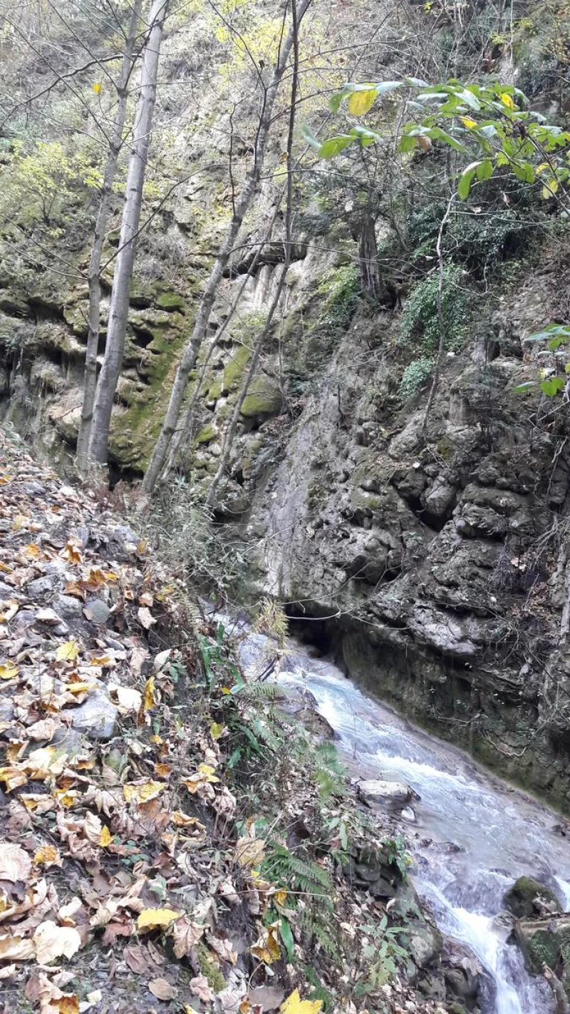 _