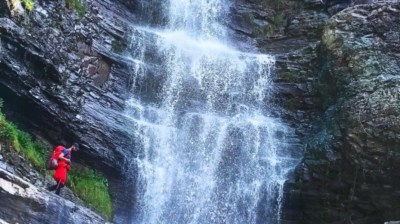 _