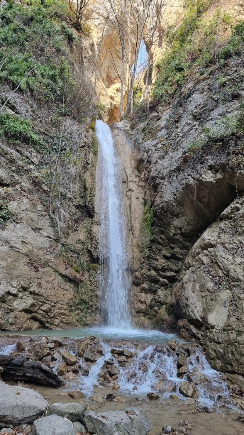 _