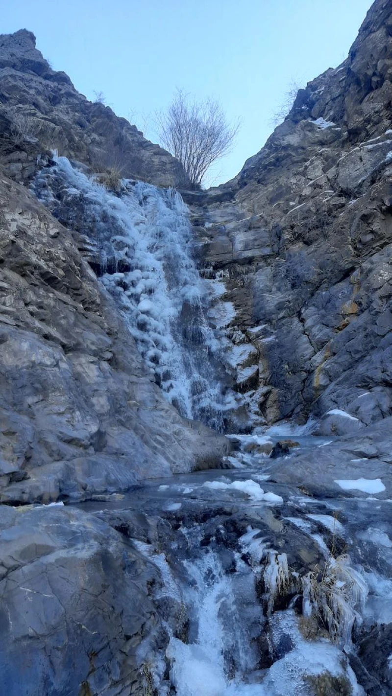 _