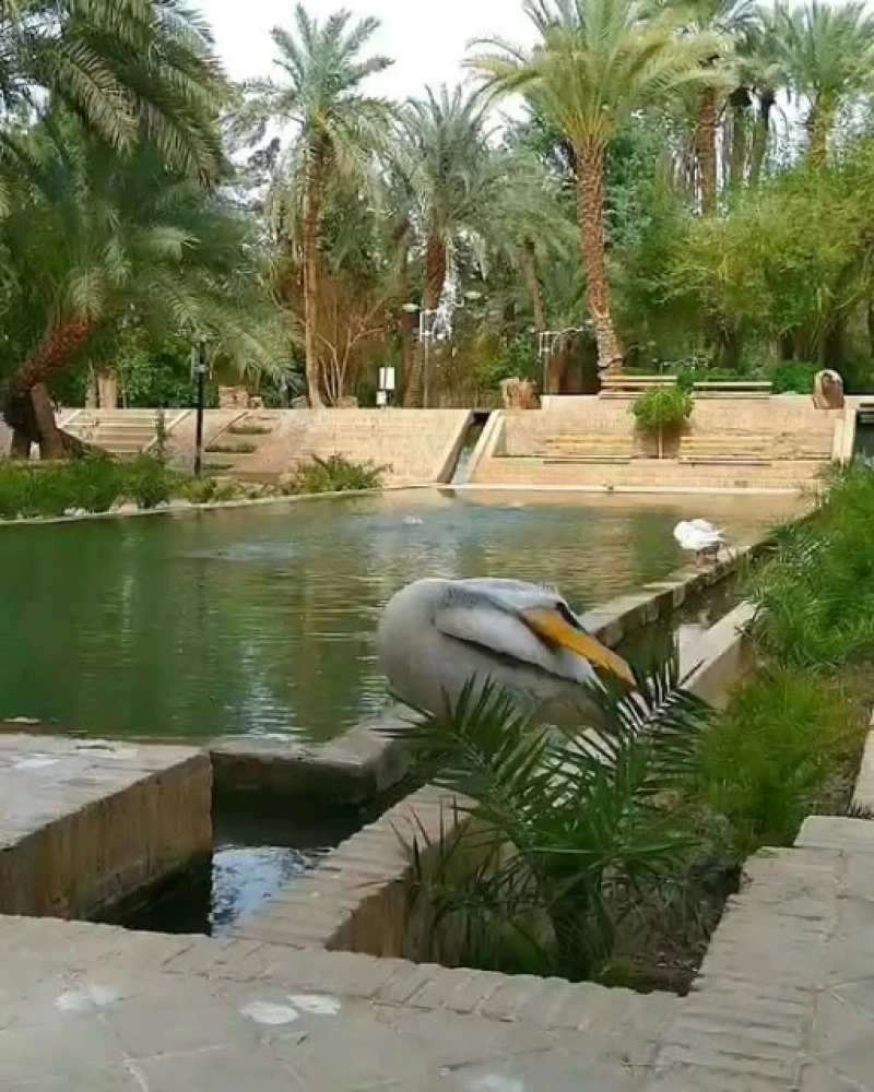 _
