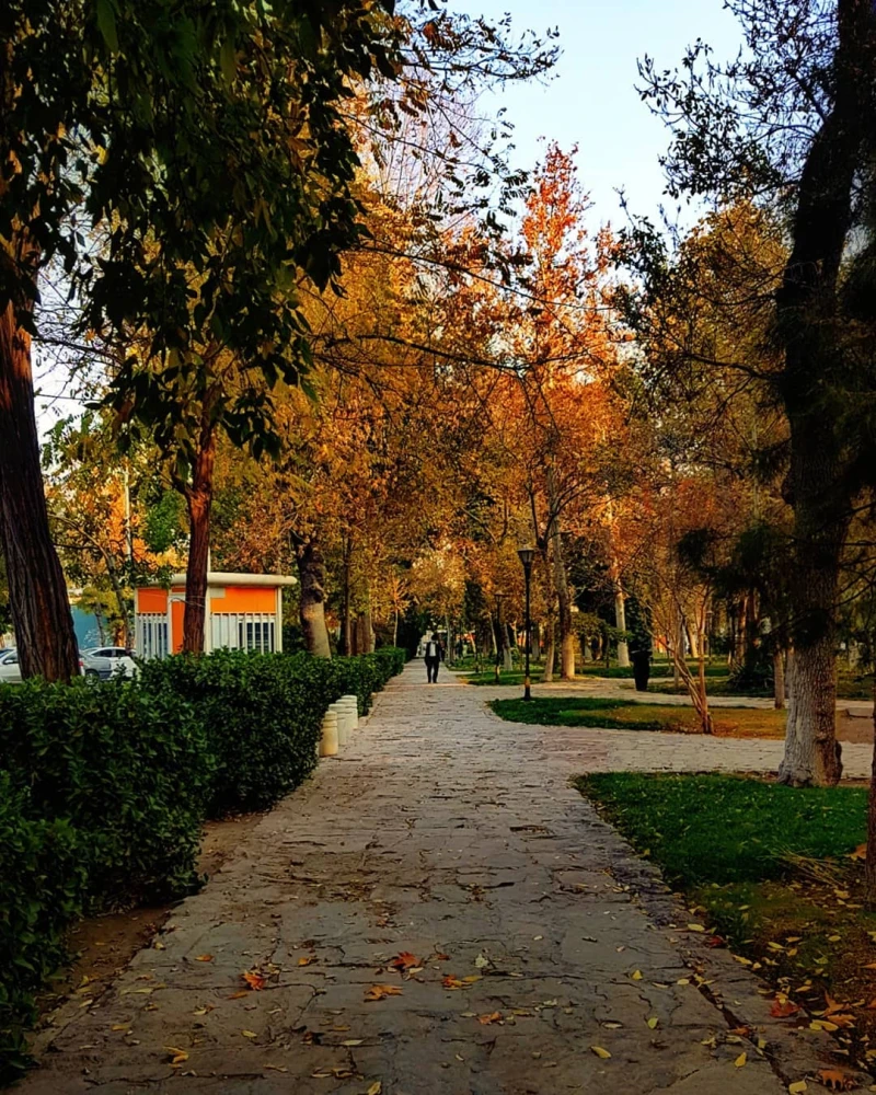 _