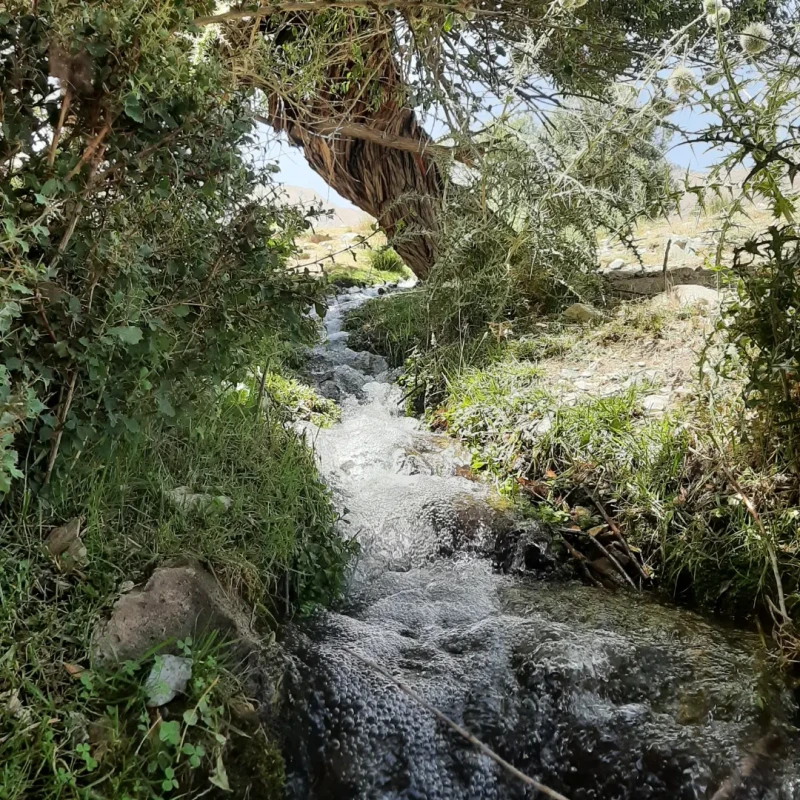_