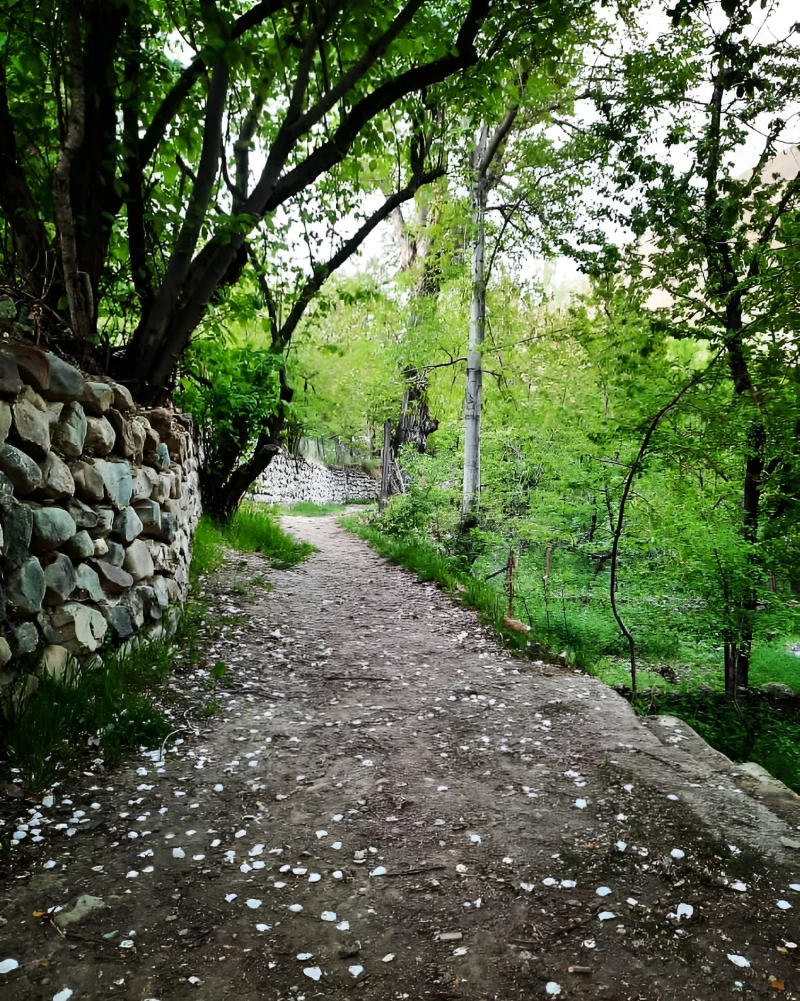_